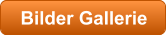 Bilder Gallerie
